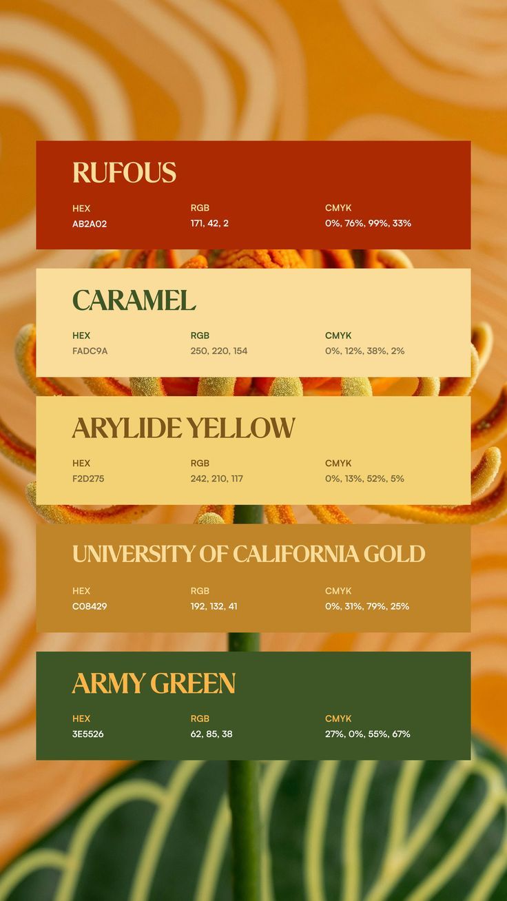 Colors:
AB2A02
FADC9A
F2D275
C08429
3E5526 Cardinal Color Palette, Yellow Orange Gold Color Palette, Gold Yellow Color Palette, Orange And Green Color Scheme, Ginger Color Palette, Spanish Color Palette, Orange Green Color Palette, Green Orange Color Palette, November Color Palette