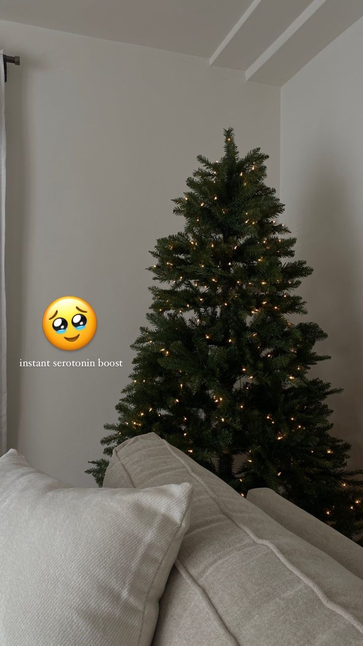 a christmas tree with an emoticive smiley face on it in front of a window