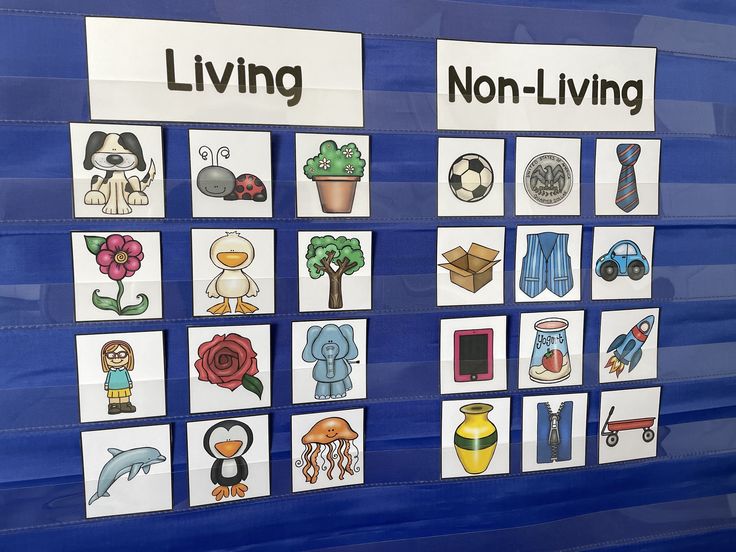 a blue bulletin board with pictures of different things on it and the words living, non - living