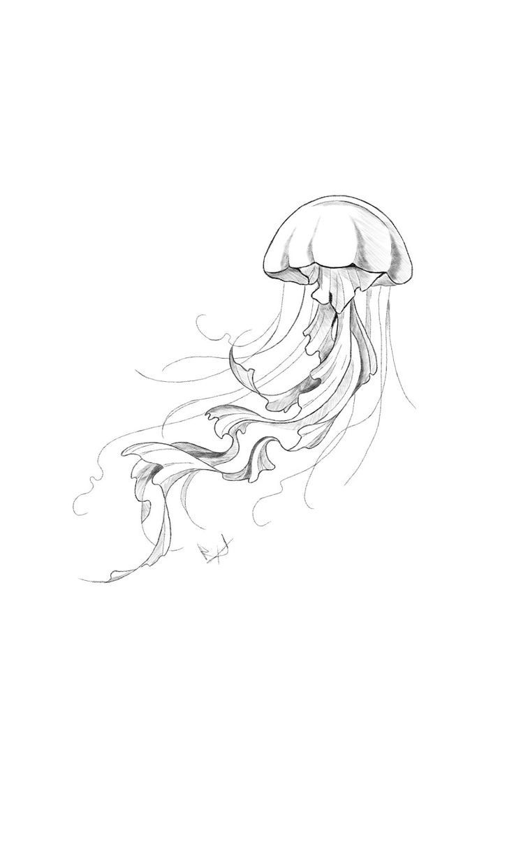 a black and white drawing of a jellyfish