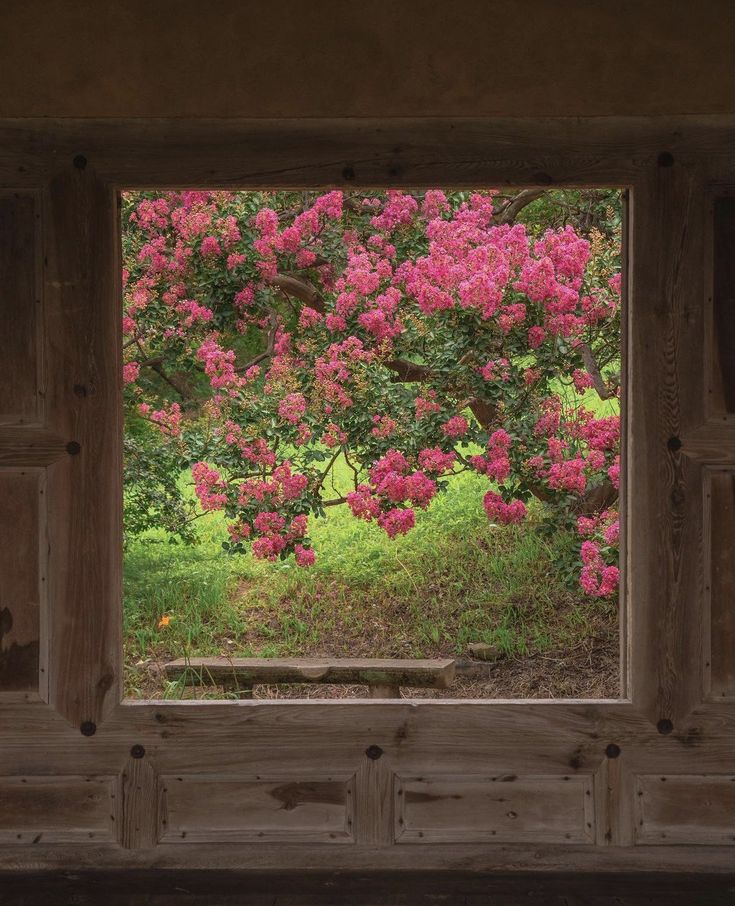 an open window with pink flowers on the outside and green grass in the back ground