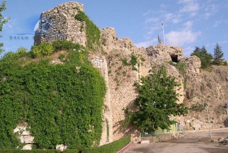 an old stone castle with ivy growing on it's sides and trees in the foreground