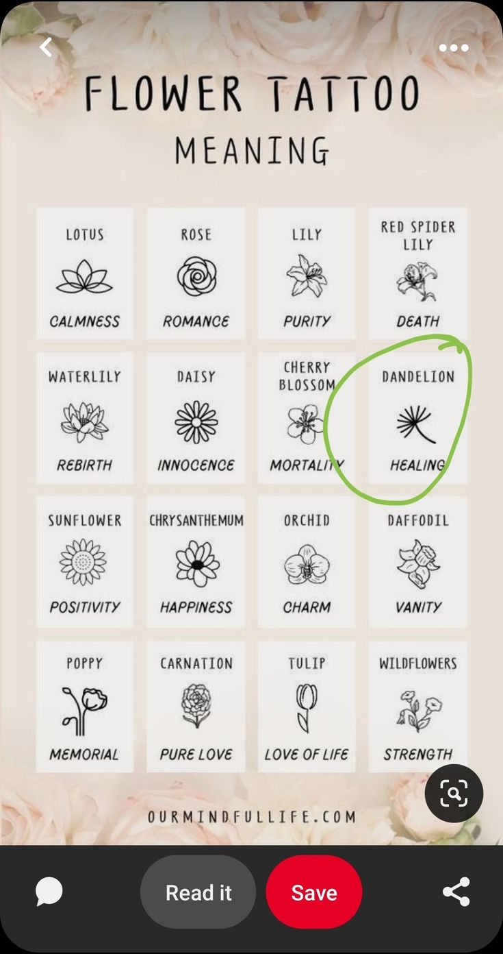 the flower tattoo app is showing different types of flowers and their meanings, including names