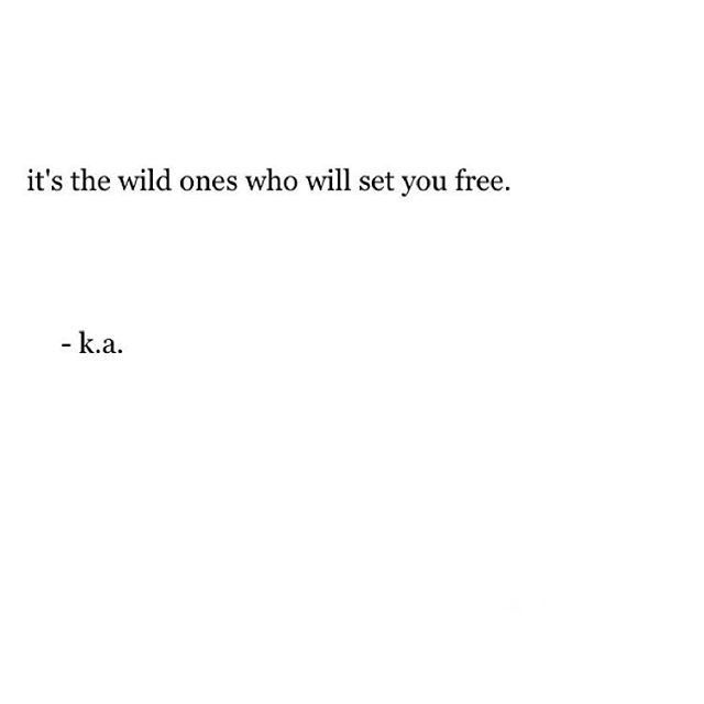 a white background with the words it's the wild ones who set you free