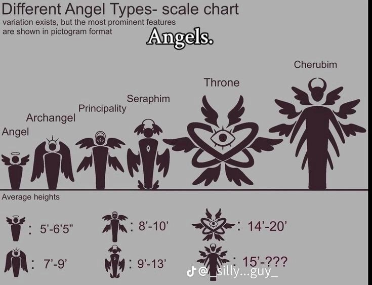 the different types of angels are shown in this graphic above it is an info sheet