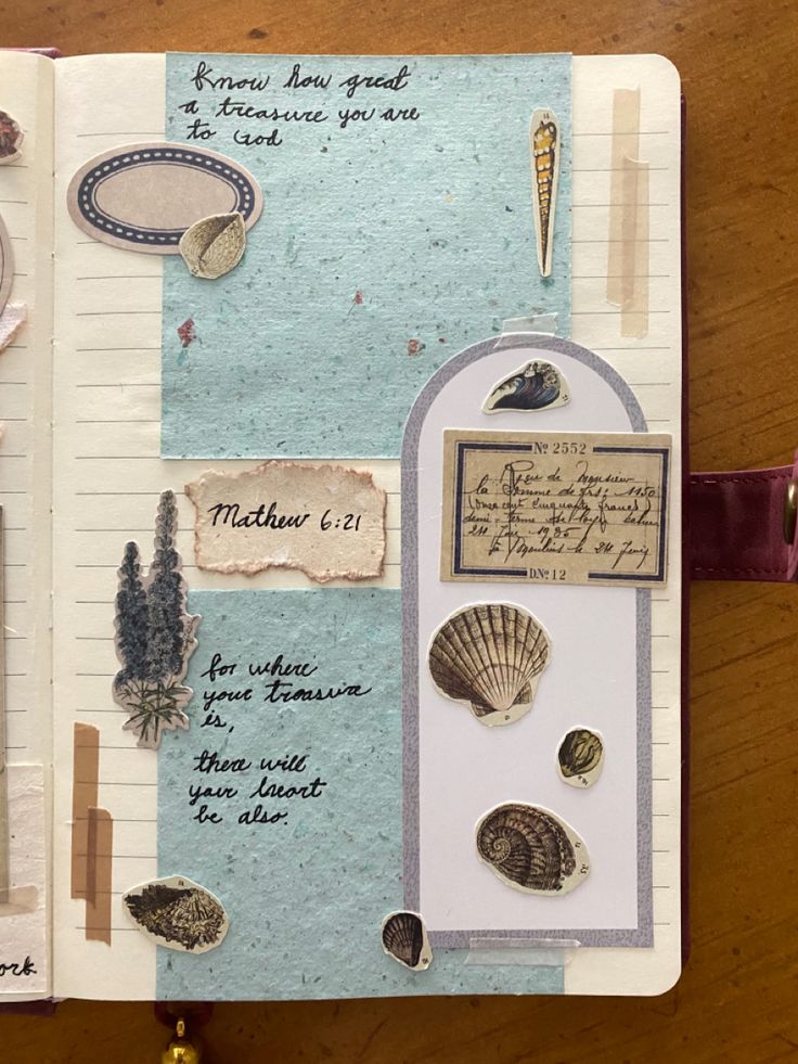 an open notebook with seashells and writing on the pages, along with other items