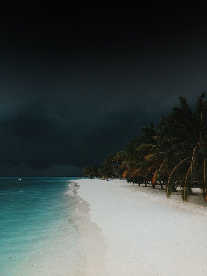 an empty beach with palm trees on the shore and dark clouds in the sky above