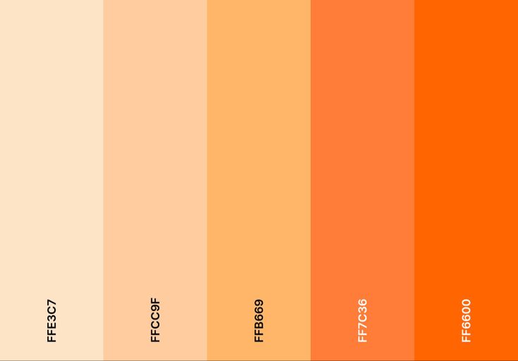 Orange gradient color palette starting from a very pale light orange transitioning to a light peach color and then into a very bright and opaque orange Yellow To Orange Gradient, Orange And Tan Color Scheme, Orange Color Pallete Colour Palettes, Orange Hues Colour Palettes, Orange And Yellow Color Scheme, Reddish Orange Color Palette, Orange Aesthetic Color Pallete, Orange Creamsicle Color Palette, Red Orange White Color Palette