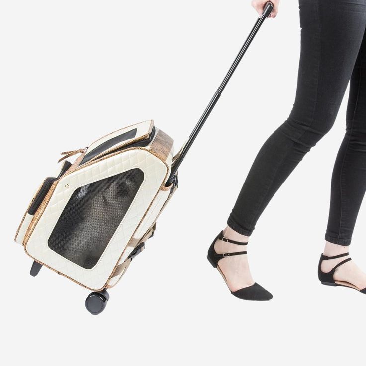 a woman pulling a suitcase with a dog in it