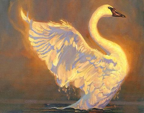 a painting of a white swan floating in the water with its wings spread wide open