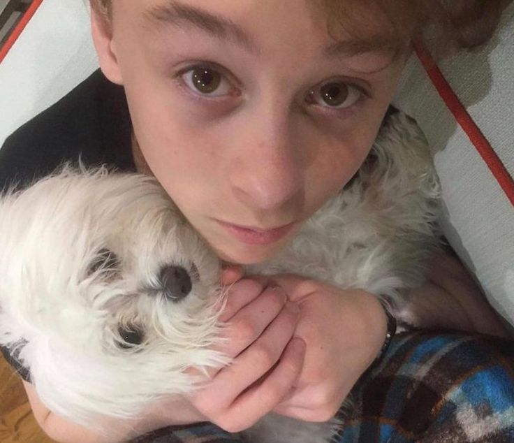 a girl holding a small white dog in her arms and looking at the camera with an intense look on her face