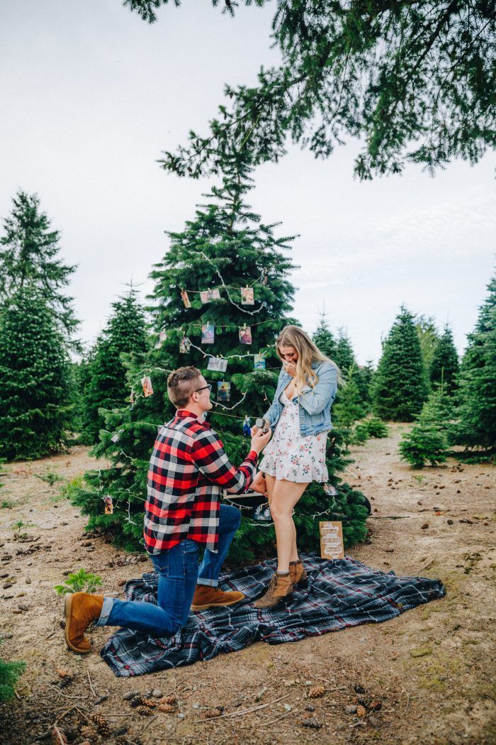 a man kneeling down next to a woman near a christmas tree on a blanket in the woods