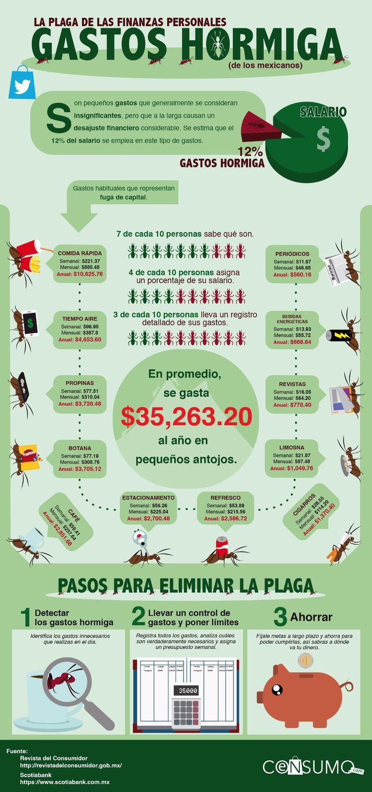 an info poster showing the different types of mosquitoes in spanish and english, as well as