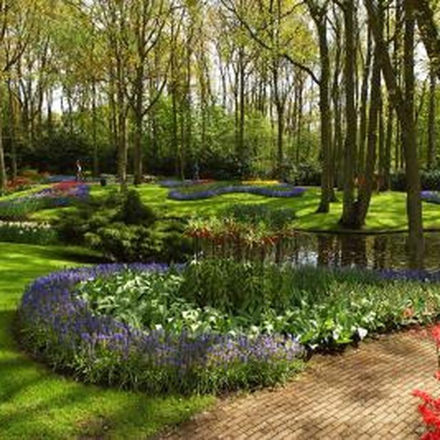 the garden is full of colorful flowers and trees