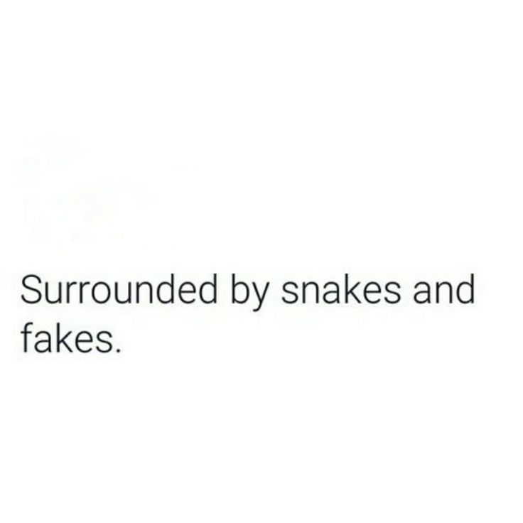 the words surround by snakes and fakes are shown in black on a white background