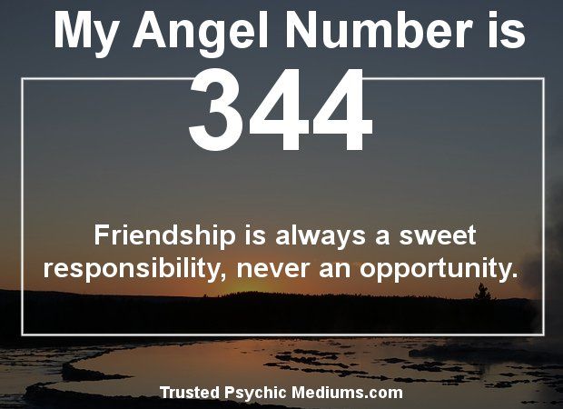 a quote on the subject of an angel number is 344