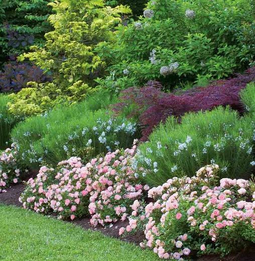 pink and white flowers line the edge of a garden bed in front of green grass