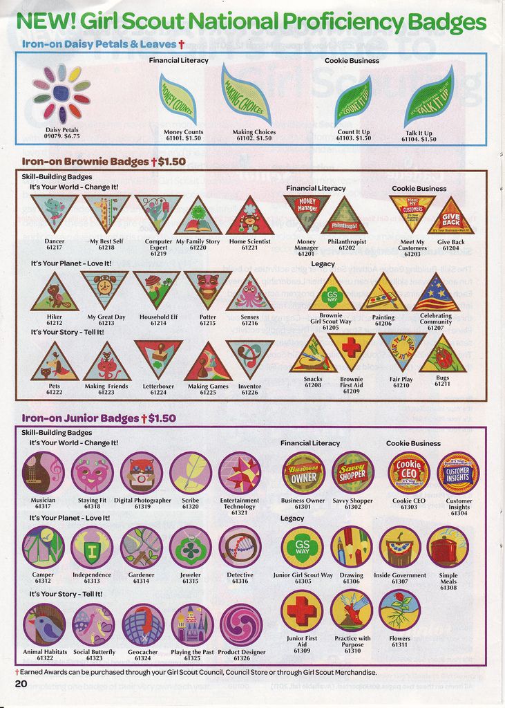 the new girl scout badges are shown