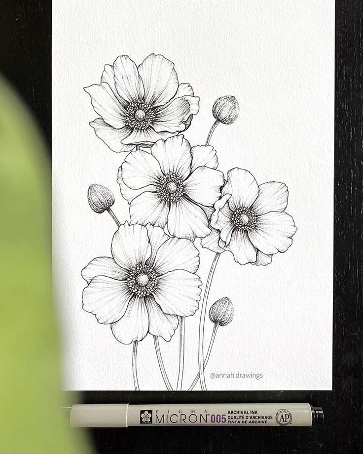 a black and white drawing of some flowers on a piece of paper with a marker