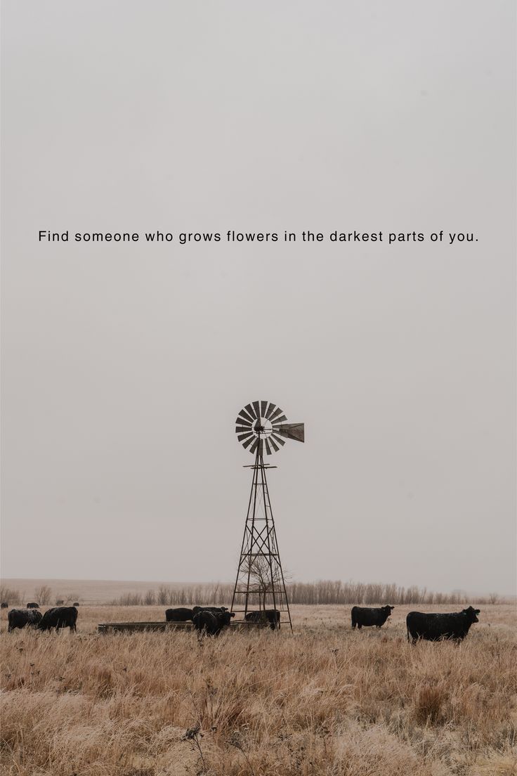 a windmill in the middle of a field with cows grazing around it and an inspirational quote