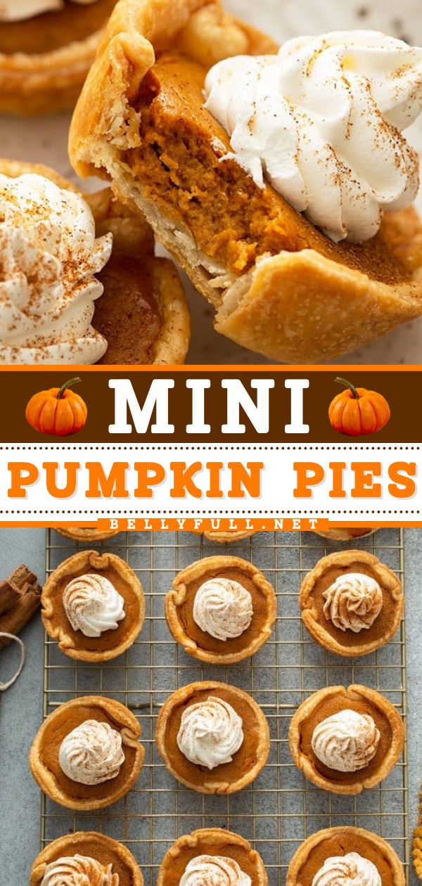 Need an easy Thanksgiving sweet treat? Here's a mini pie recipe in a muffin tin! Delicious and fun to eat, these simple mini pies are great for entertaining. Save this pumpkin food idea and enjoy these pie bites! Ed Smith Pumpkin Pie Filling Recipes, Halloween Individual Desserts, Bellyfull Recipes, Thanksgiving Pastries, Mini Pumpkin Pie Recipe, Pumpkin Pie Mini, Mini Pumpkin Pies Recipe, Fall Baking Recipes, Mini Pumpkin Pies