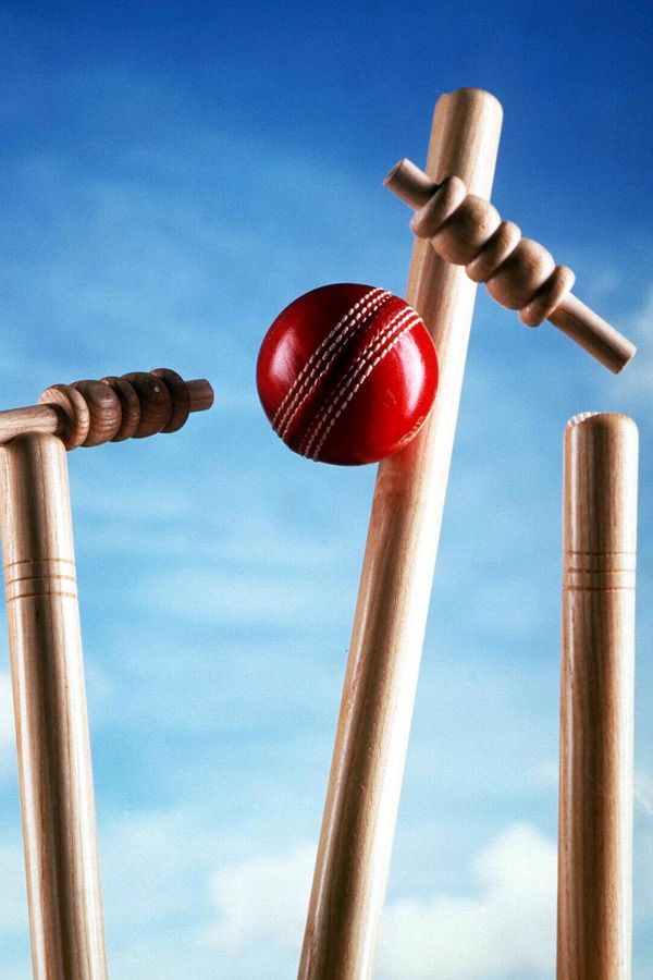 three wooden cricket bats with a red ball in the middle