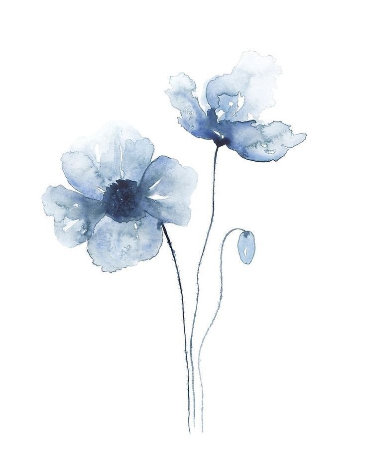 two blue flowers on a white background with watercolng effect greeting card by panoramic images