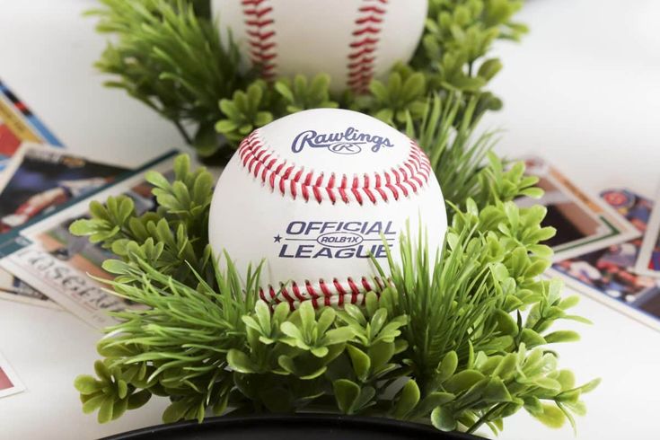 two baseballs sitting on top of a table next to some green plants and photos