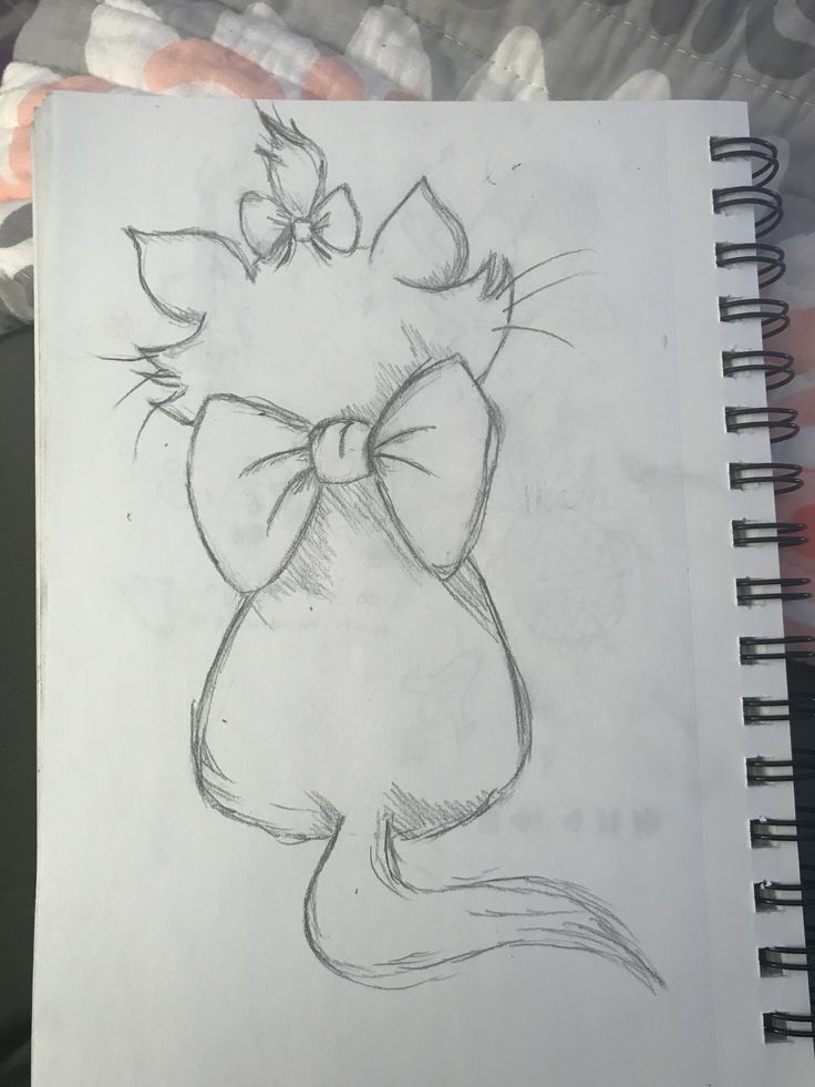 a drawing of a cat with a bow on it's head, in the process of being drawn