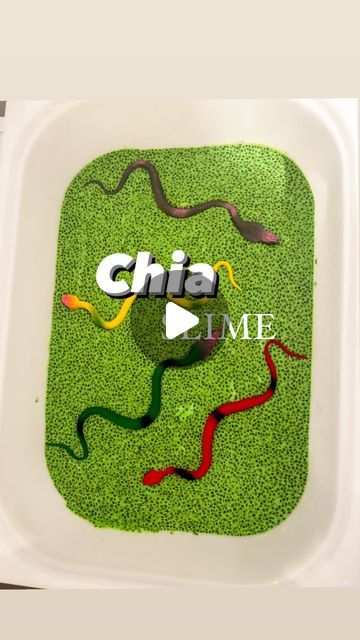 a plastic container filled with green grass and the words cia lime on top of it