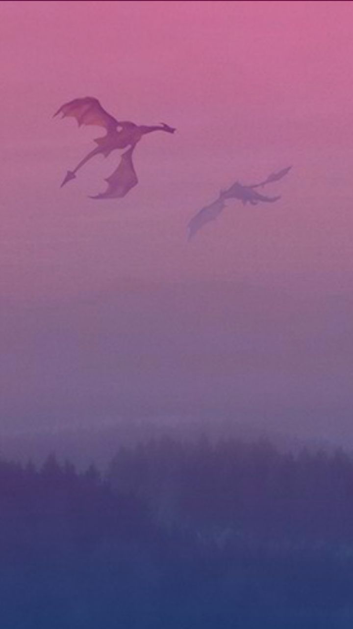 three birds flying in the sky at sunset