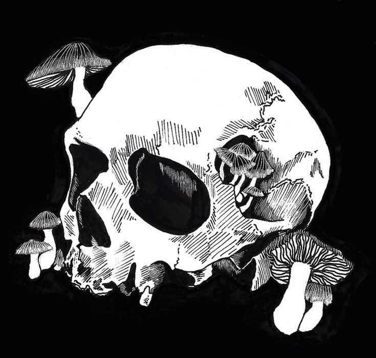 a black and white drawing of a skull with mushrooms on it's side, in the dark