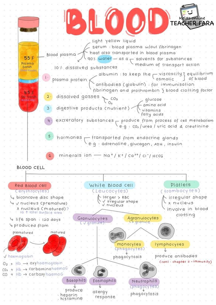 a diagram showing the steps in how to use blood