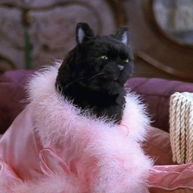 a black cat sitting on top of a pink fluffy blanket next to a basket filled with straws