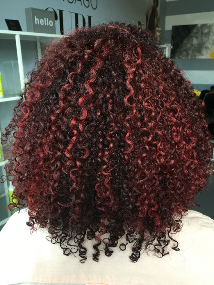 Highlight Hair Ideas, Red Highlights In Brown Hair, Curly Highlights, Black Red Hair, Highlight Hair, Dark Curly Hair, Highlight Ideas, Highlights Curly, Dyed Curly Hair