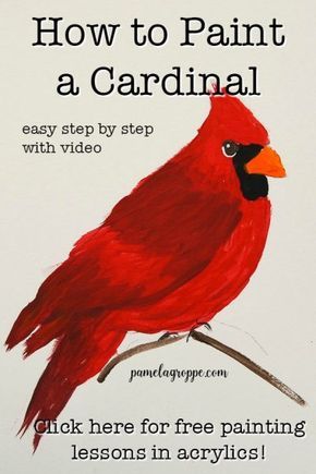 a red bird sitting on top of a tree branch with text overlay that reads, how to paint a cardinal