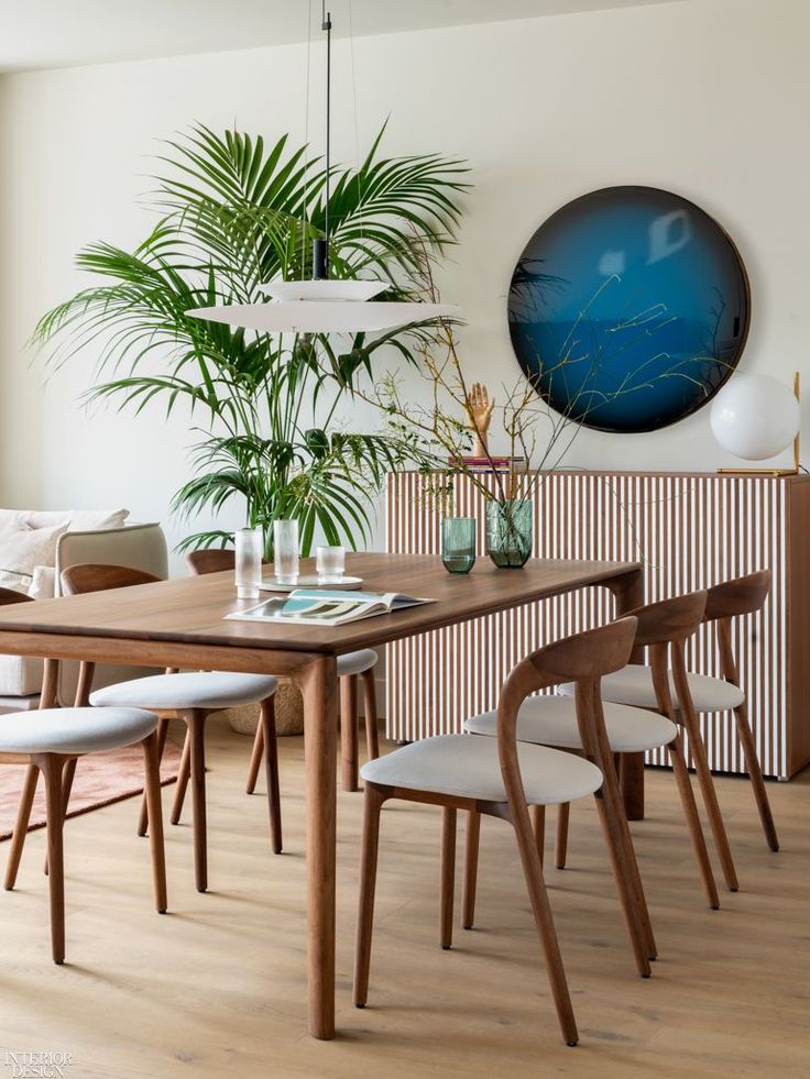 a dining room table with chairs and a plant in the corner next to it on top of a hard wood floor