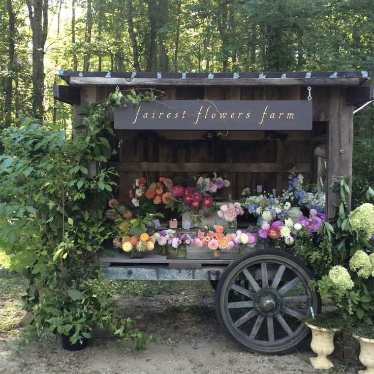 an old wagon filled with flowers and plants