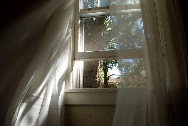 an open window with white curtains in front of it and a tree outside the window