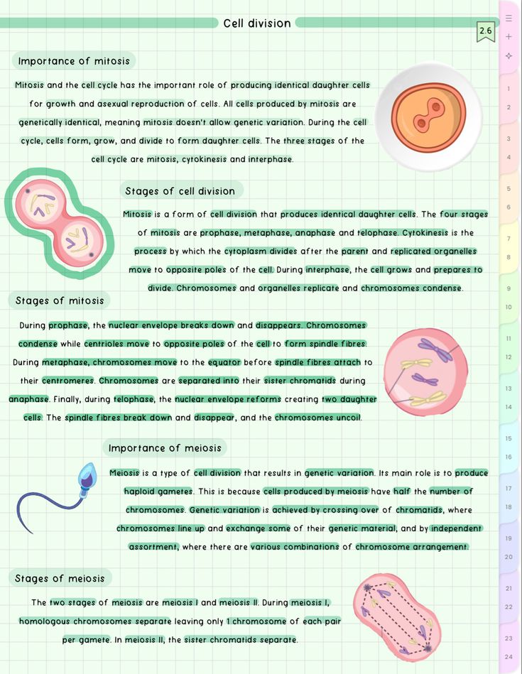 an info sheet with different types of cell phones and other things to see on it