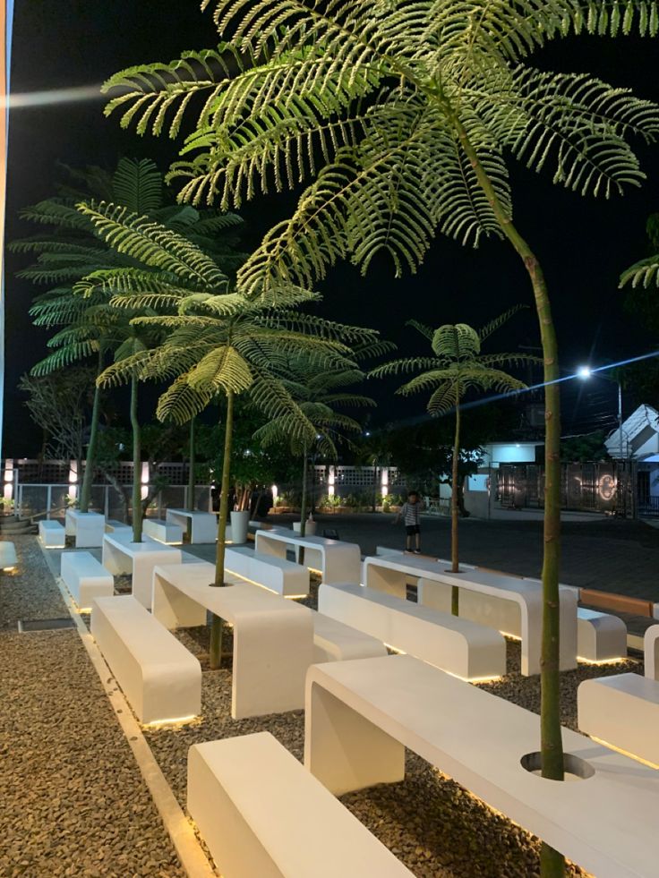 several white benches lined up next to each other in front of a building at night