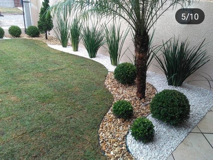 a small palm tree sitting in the middle of a yard next to some rocks and grass