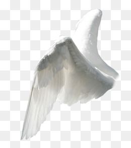 an angel wing flying in the sky with its wings spread out, transparent background png