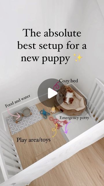 a baby's crib is shown with the words, the absolute best setup for a new puppy