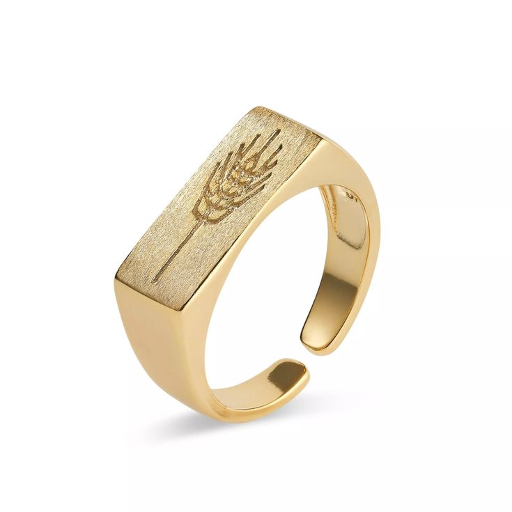 This thick 18K gold signet ring is perfect for anyone that wants a little sparkle! This ring is made entirely of solid sterling silver, and then coated in genuine 18k gold plating. This is a one size hollow ring that can be adjusted to fit all finger sizes. Fast Shipping! It'll be packaged and posted beautifully, perfect for gifting! To keep your Elk & Bloom jewellery looking as new as possible, we advise removing the item whilst sleeping, during heavy exercise, or when in water, to make sure yo Hollow Ring, Gold Signet Ring, Precious Gems, Signet Ring, Jewelry Plate, Womens Jewelry Rings, Chain Lengths, Free Jewelry, Deodorant