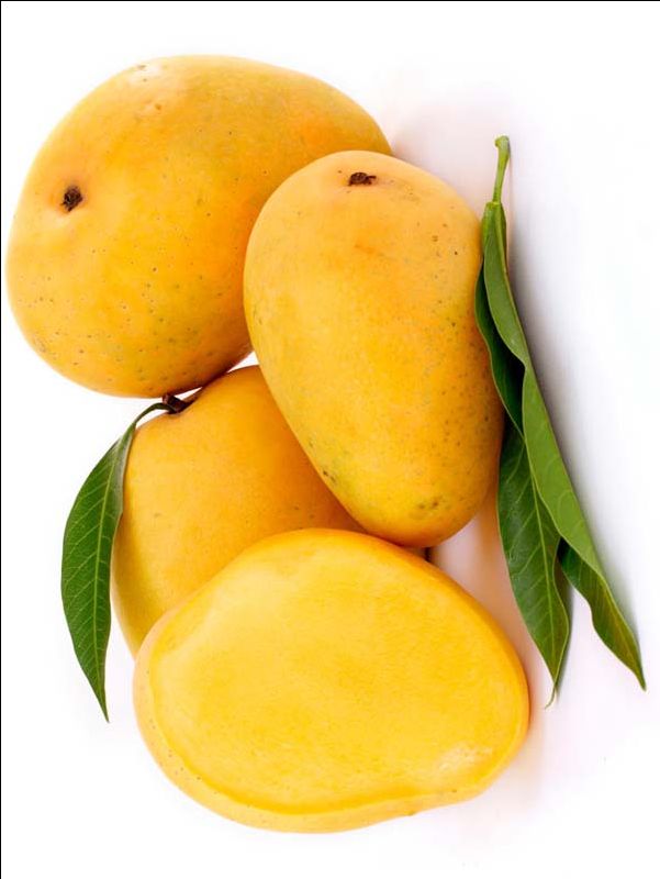 three mangoes with leaves on top of them against a white background, one is yellow and the other is green