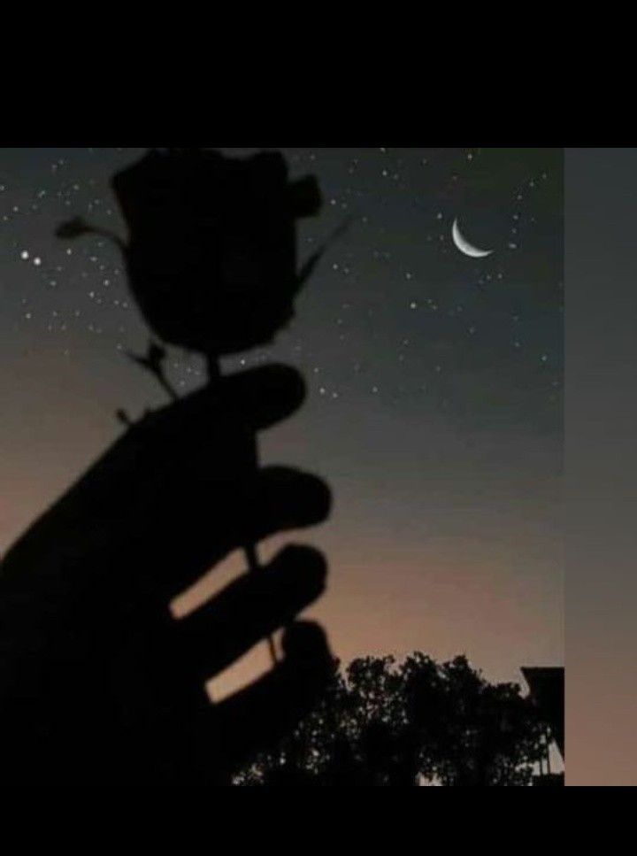 the silhouette of a person's hand holding an object in front of a night sky