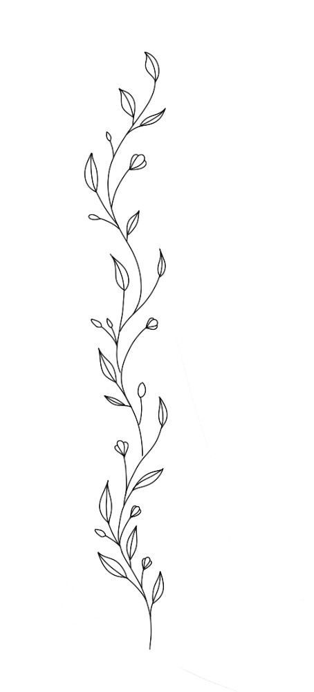 a black and white line drawing of a plant with leaves on it's stems