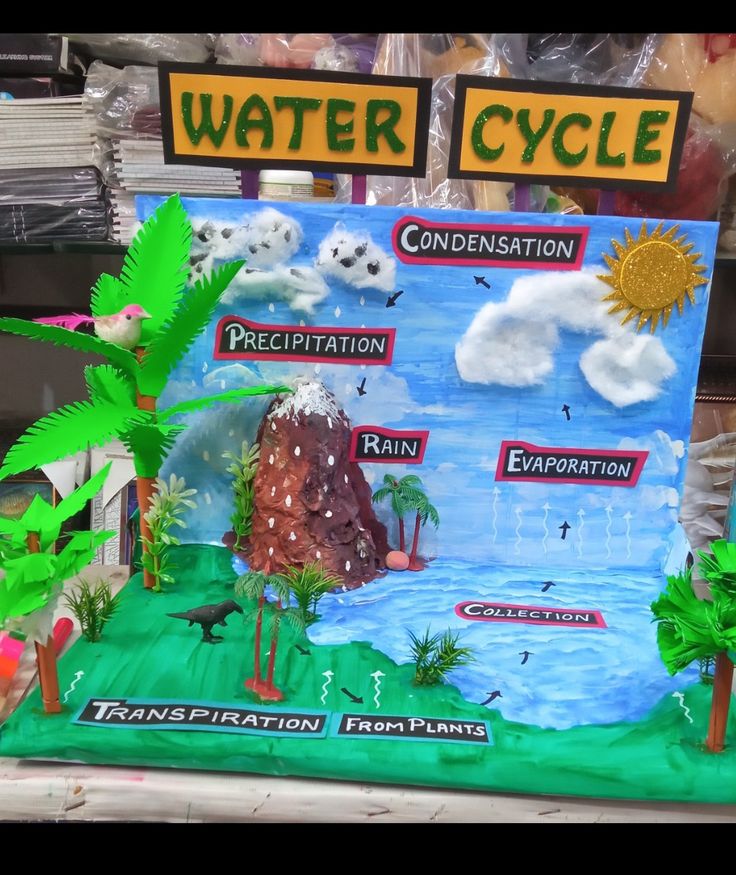 a water cycle display in a store window