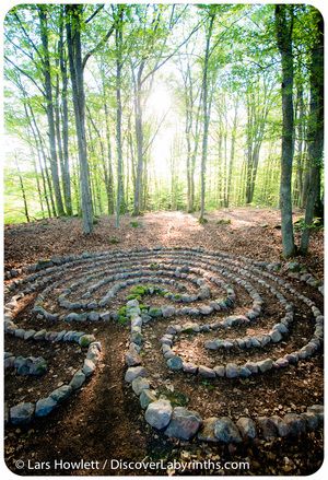 a stone maze in the woods surrounded by trees